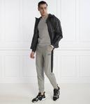 Спортивные штаны мужские Ea7 на кулиске, серый - фото 2