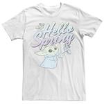 Мужская футболка Star Wars The Mandalorian Hello Spring - фото