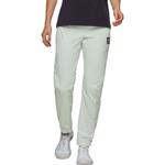 Легкие брюки Massone Mammut, серебряный - фото