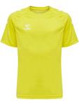 Футболка Performance Hummel, желтый - фото