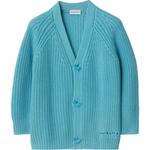 Свитер SS24 Синий Детский Burberry - фото