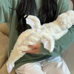 Плюшевая игрушка MENGMENGBUNNY, розовый - фото 4