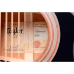 Акустико-электрогитара Taylor 324ce V-Class Grand Auditorium с эффектом затененного градиента - фото 6