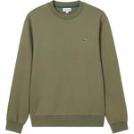 Хлопковый свитшот LACOSTE, 02S/Milk Coffee - фото 3