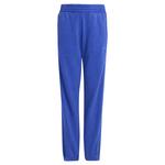 Брюки adidas All Szn Washed, синий - фото