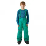 Брюки Helly Hansen No Limits 2.0, зеленый - фото