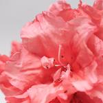 Маска для лица BABOR Purifying Mask, 50 ml - фото 4