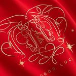 Свитшот Women's Rich Red ANTA, красный - фото 6