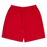 Шорты Supreme x Champion Mesh Short, красный - фото 2