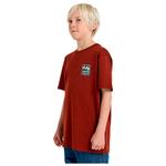 Детская футболка с принтом м/с Billabong, Brick - фото 4