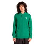 Худи Element Park, зеленый - фото