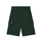 Детские шорты LACOSTE, серебристо-серый - фото 3