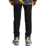 GS Брюки The North Face, черный - фото 4