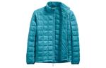 Пуховик мужской бирюзовый The North Face, голубой - фото 2