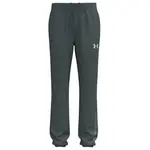 Брюки Under Armour Graphic Woven, серый - фото