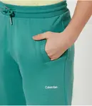 Шорты Regular fit Calvin Klein Jeans, зеленый - фото 4