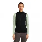 Жилет Icebreaker Merino Blend 300 RealFleece Descender, черный - фото