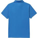 Мужская поло DESCENTE, синий - фото 6