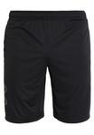 Спортивные шорты Under Armour UA TECH GRAPHIC, цвет Black/Graphite - фото 5