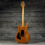 PRS Custom 24 - Carroll Blue 10-Top - фото 6