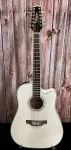 Takamine GD37CE-12 PW с чехлом - фото 2