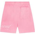 Владельцы Club Script Mesh шорты REPRESENT, розовый - фото 4