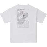 Футболка мужская белая Converse - фото 2