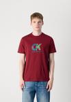 Футболка Calvin Klein DOT GRAPHIC TEE, Renaissance Red/Red - фото 3