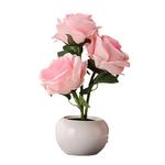 Атмосферные огни The Star God Project - фото