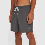 O'NEILL Плавки OВґNEILL Vert 16" для мужчин - фото 3