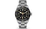 Tudor Black Bay 58 M79030N - фото