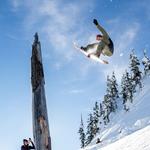 Комбинезон 686 GORE-TEX Dispatch Shell 686, Sage - фото 3