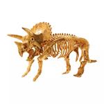 MindWare: раскопай! 3D-модель скелета: Трицератопс - фото