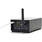 Dillinger Labs StreetHeart SKAA Wireless Pro Audio Receiver - фото 3