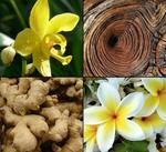 Гель для душа «Ваниль и имбирь», 250 мл Tesori d'Oriente - фото 6