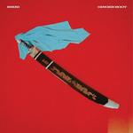 Виниловая пластинка Ginger Root - Rikki - фото