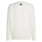 Толстовка O'neill FWC Play, белый - фото 4