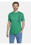 Футболка ФЛЕММИНГ JAN VANDERSTORM, зеленый - фото 2