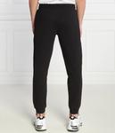 Штаны спортивные мужские Ea7 Regular Fit с логотипом, черный - фото 4