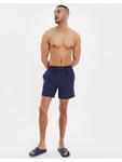 Threadbare Плавки THBBriar темно-синего цвета - фото 3