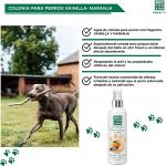 Men For San Colony Water For Vanilla Orange Dogs 125мл - фото 5