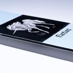 Сноуборд Fiction Gnu - фото 3