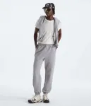 Женские брюки Evolution Simple Dome The North Face, TNF Pale Grey Heather - фото 2