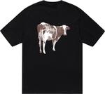 Футболка Stussy Grassfed 'Black', черный - фото 2