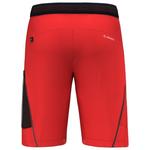 Шорты pedroc 3 dst m cargo shorts Salewa, мультиколор - фото 2