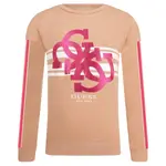 Толстовка Guess, розовый - фото