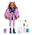 Детская кукла Monster High Fabulous Clawdeen Wolf doll, розовый - фото 2