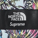Перчатки Steep Tech Supreme x The North Face, Multicolor Dragon - фото 3