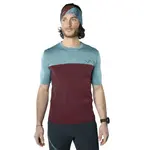 Футболка с коротким рукавом Dynafit Traverse S-Tech, красный - фото