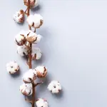 Молочко для снятия макияжа, 200 мл Matis Fondamentale - фото 3